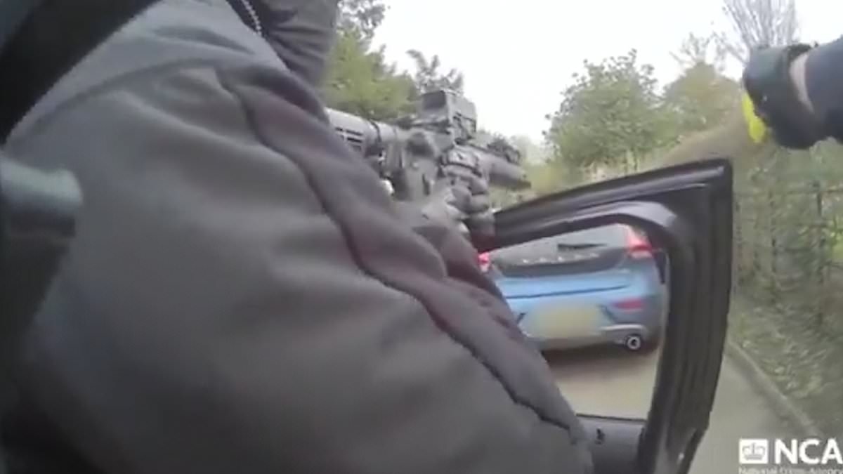 Dramatic moment gun-toting drugs cops ambush crime boss seconds after he'd picked up £4m of cocaine from light plane