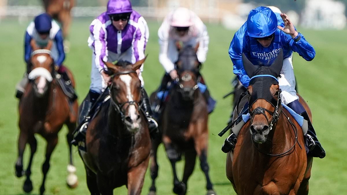 CALUM McCLURKIN: Fantastic four that can make Goodwood Glorious for punters
