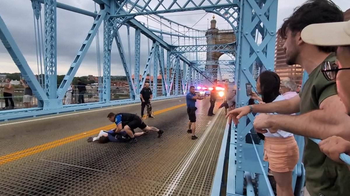 ICE raid sparks pandemonium as cops batter agitators blocking major bridge