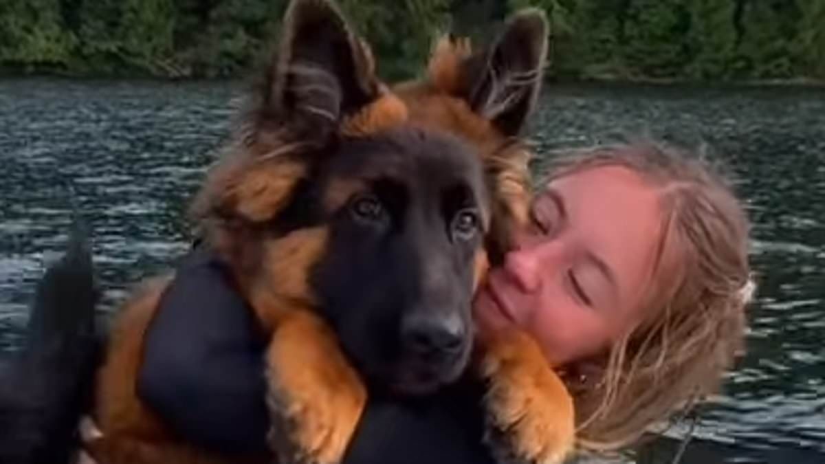 Sydney Sweeney has legs for days as she cuddles her new puppy in swimsuit snaps