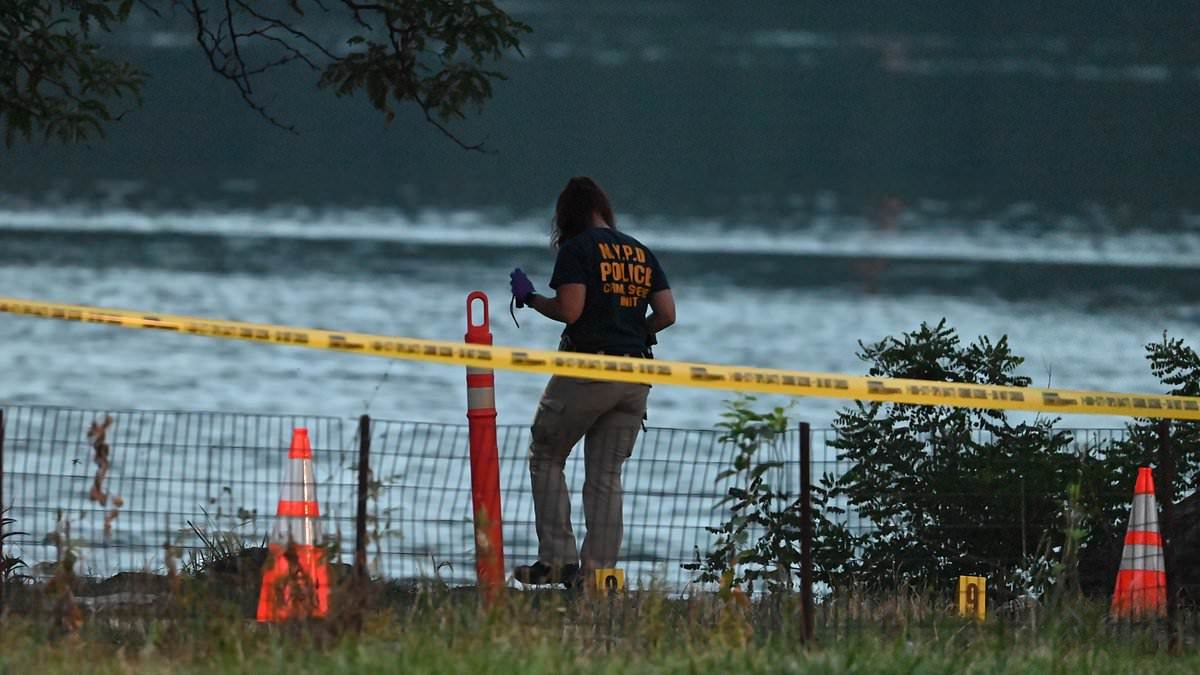 BREAKING NEWS Border Patrol agent shot in the face by illegal immigrant during botched robbery in New York City park