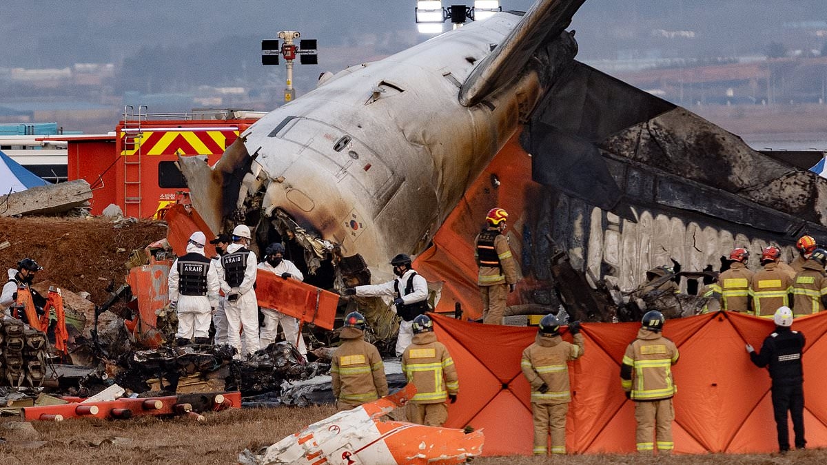 Pilots are to blame for South Korea plane crash that killed 179 when aircraft slammed into concrete wall and burst into flames, report finds