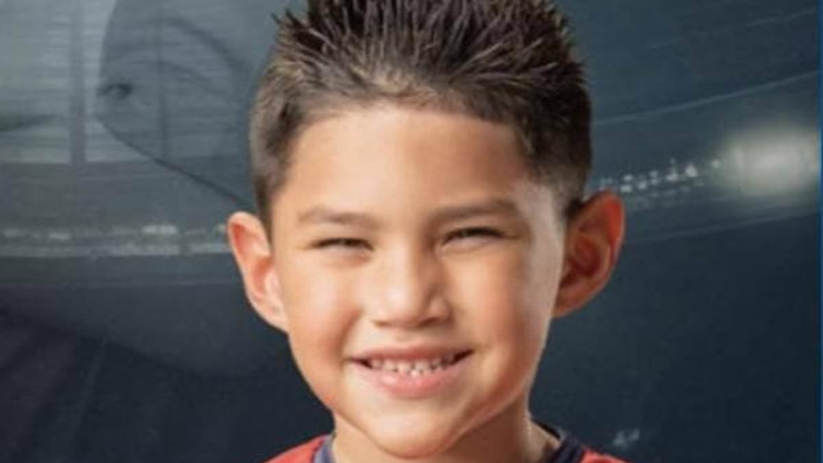Boy, 6, is killed in car crash as his three brothers fight for their lives in hospital