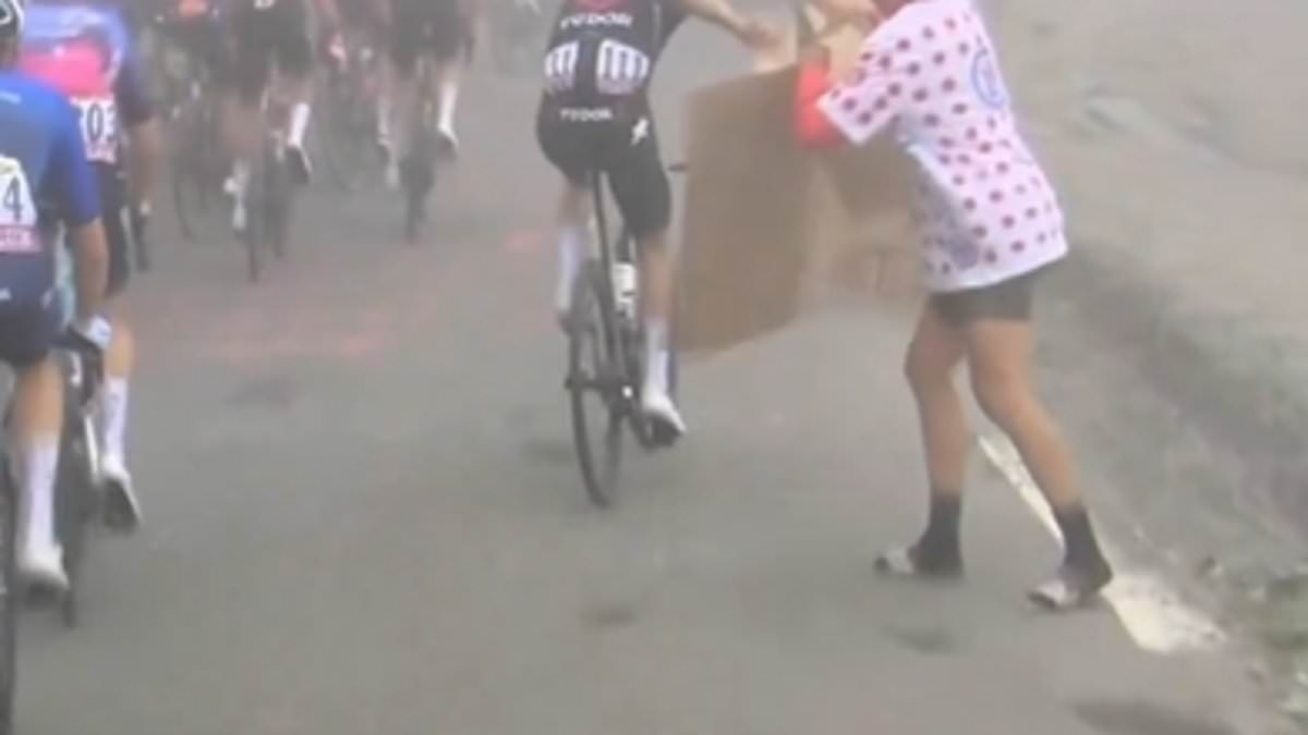 Revealed: The bizarre reason Tour de France star STOLE a fan's cardboard sign, ripped it up and shoved it under his jersey