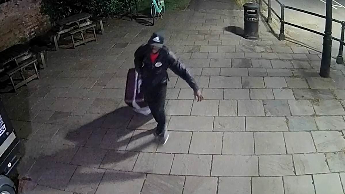 Moment blood-soaked Colombian killer dances naked after decapitating and murdering couple in their London home...then drags suitcase carrying remains on Clifton Suspension Bridge