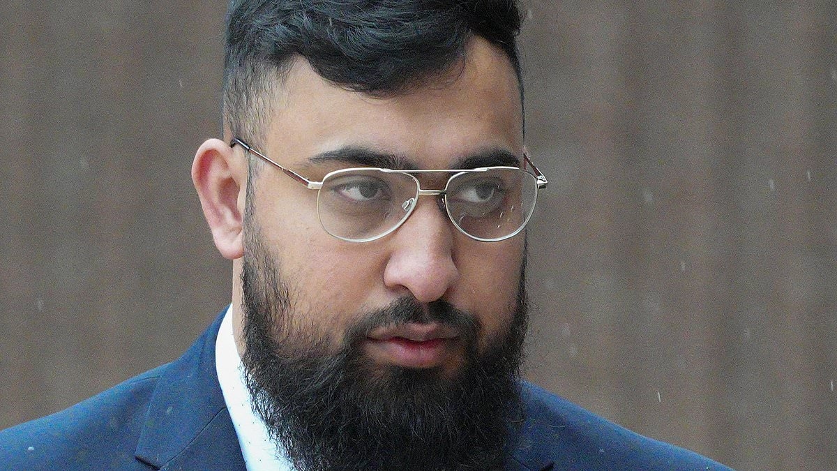 Manchester Airport 'police attacker' denies he 'saw red' and began 'pummelling' officer who was trying to arrest his brother