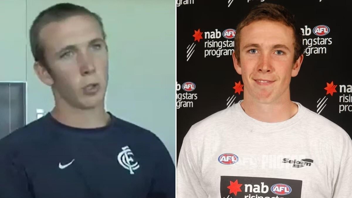 Former Carlton player is slapped with 10-year ban from owning cattle after pleading guilty to shocking animal cruelty charges