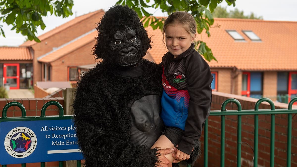 Father who wore gorilla outfit to pick up daughter at 'woke' school is reprimanded for 'serious safeguarding issue'