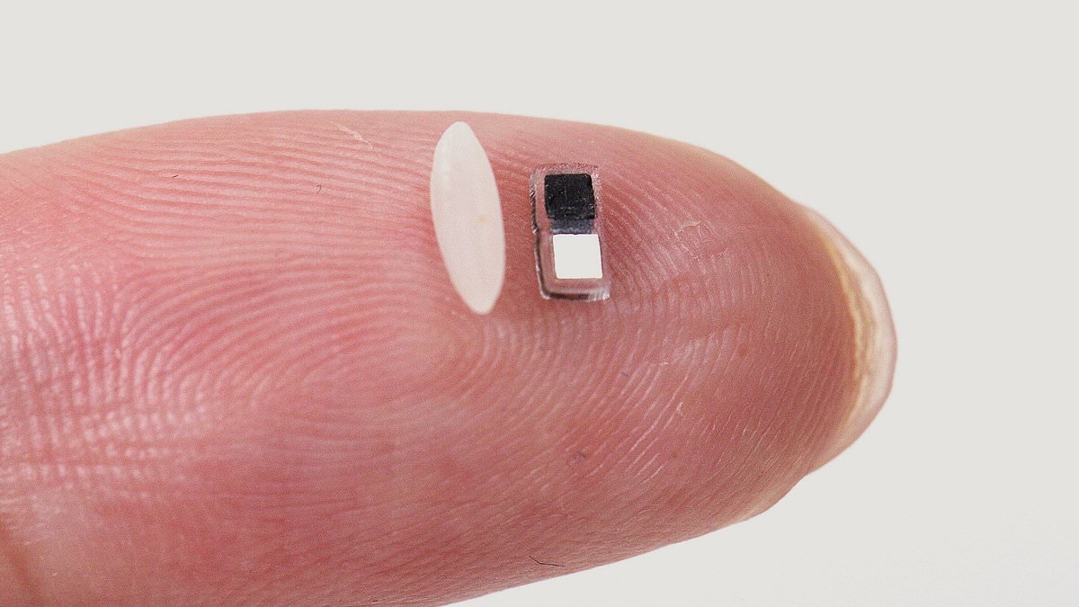 Revealed: The new device smaller than a grain of rice that could save thousands at risk of heart problems... and it can be installed without surgery