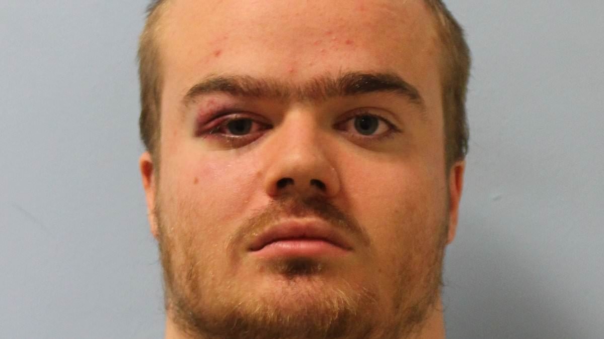 Man who threw boy, 6, from 10th floor of Tate Modern is charged over Broadmoor attack