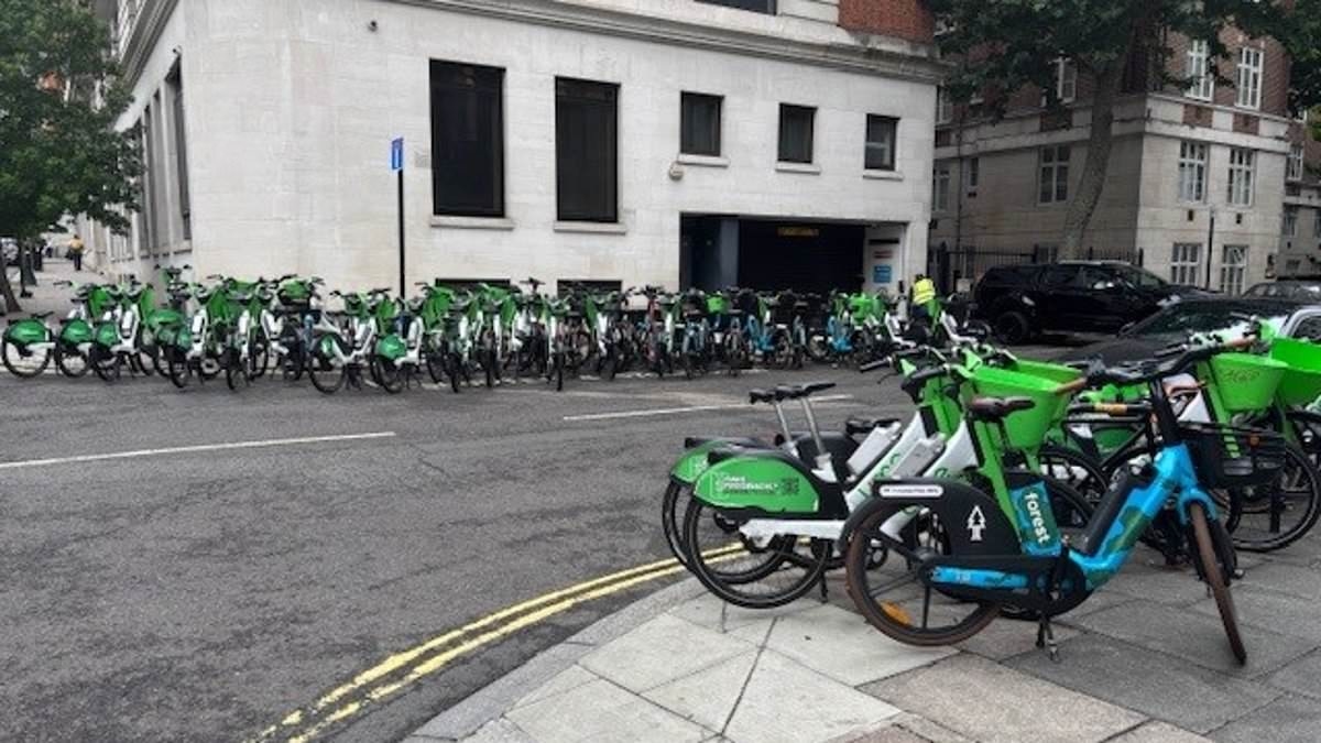 EXCLUSIVE Locals' fury as dockless e-bike bay in affluent London area is overrun by 'careless' cyclists who dump their bicycles on road and pavement