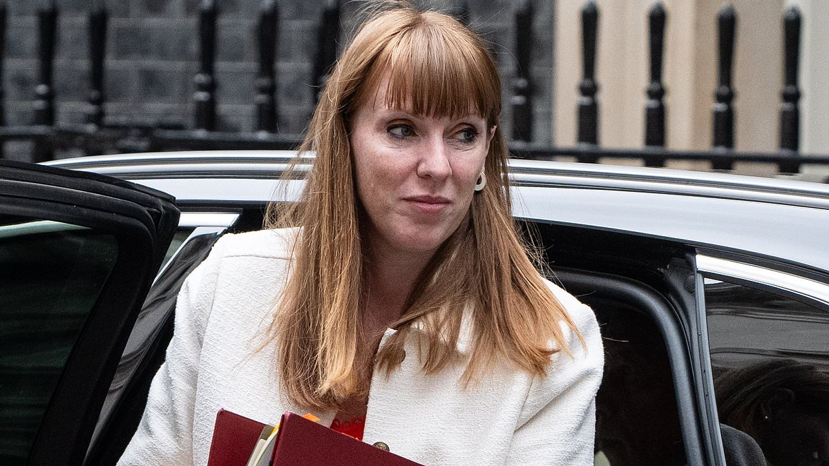 Now brace for the tourist tax! Angela Rayner 'backs mayors' demands for local levies on hotels' despite fears of hammer blow to hospitality industry