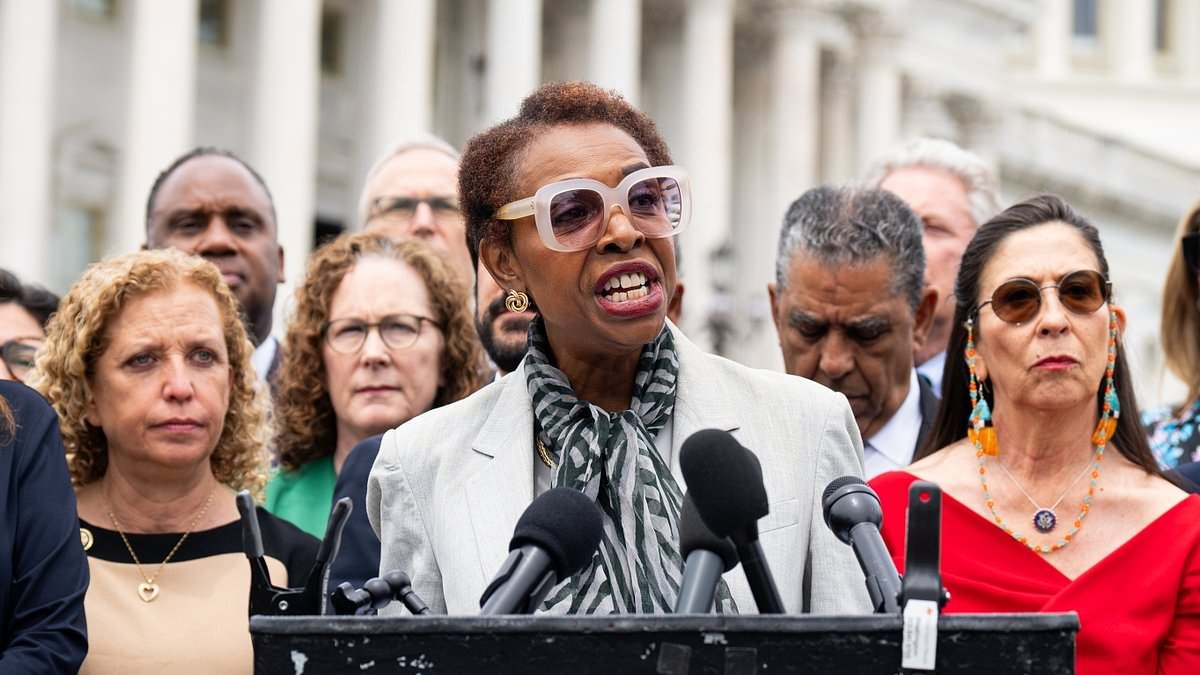 House Dem says she needs more migrants in her area