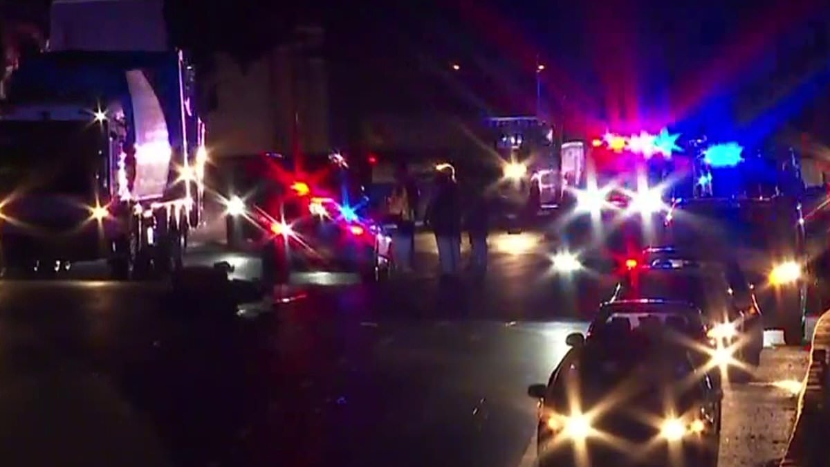 BREAKING NEWS Sydney M4 crash: Major traffic delays after motorcyclist is struck by a police car