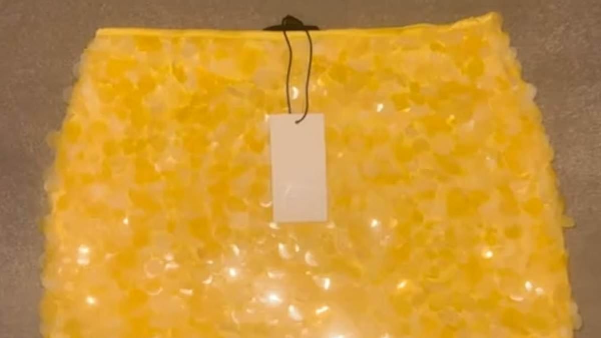Shoppers baffled as Vinted is flooded with more than 120 identical Zara skirts in perfect condition