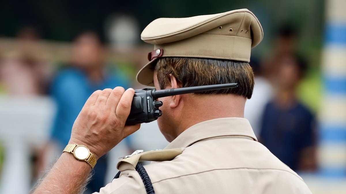 Girl, 15, is gang-raped on her way back from birthday party before escaping only to be sexually assaulted by truck driver who offered her a lift in India