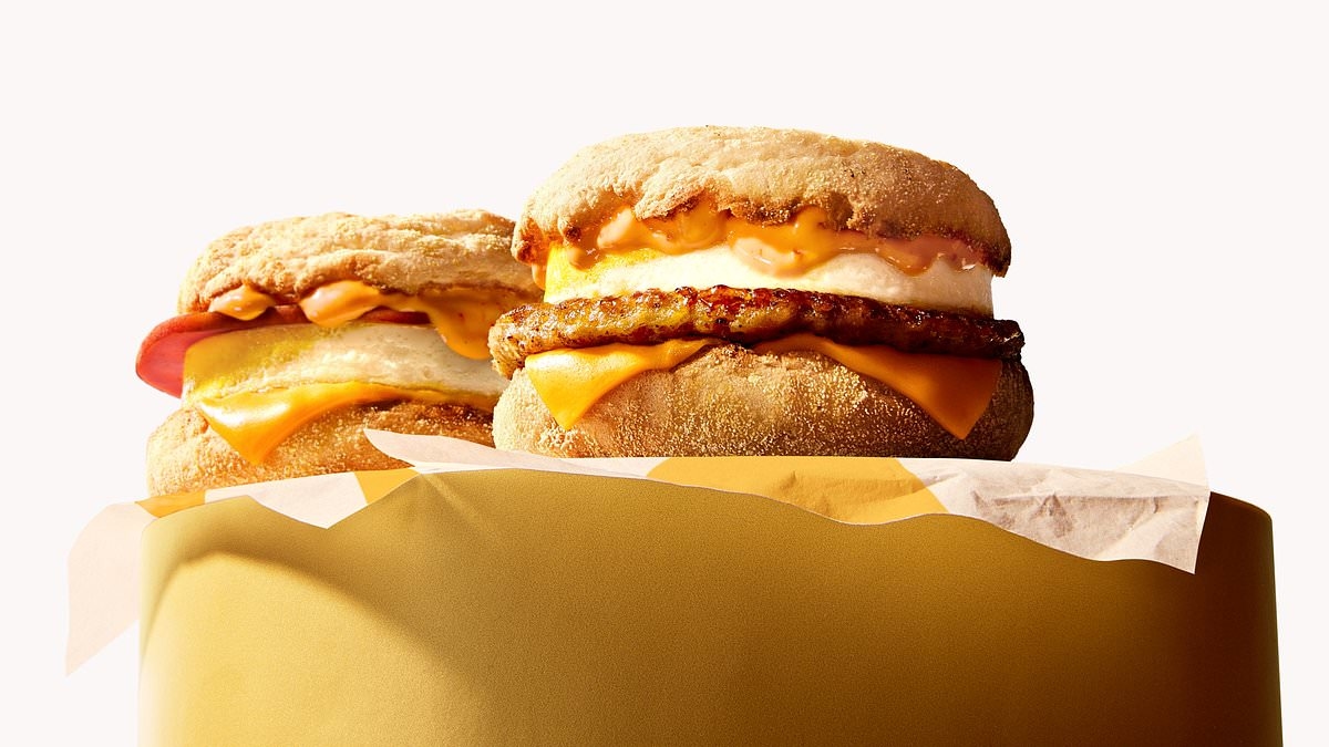 5 must-try new McDonald's menu items