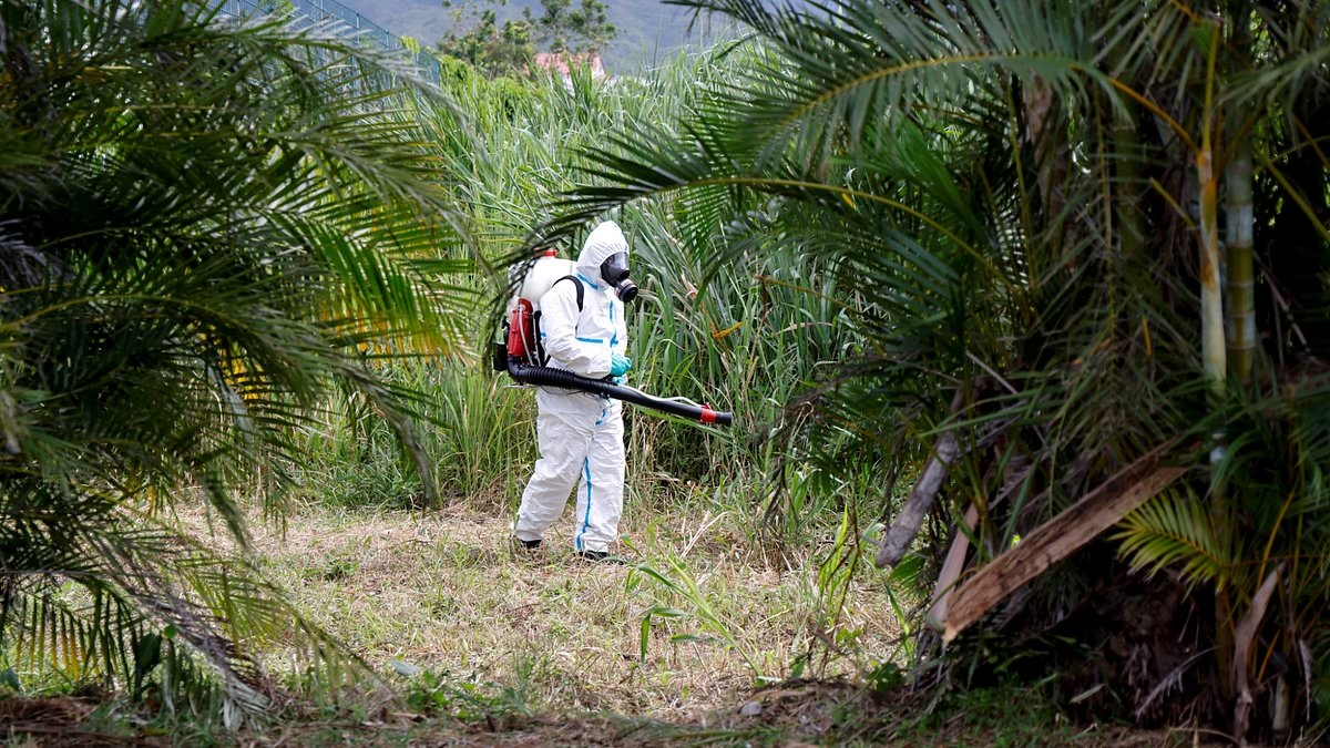 Experts warn of another global epidemic as rare virus spreads to new areas
