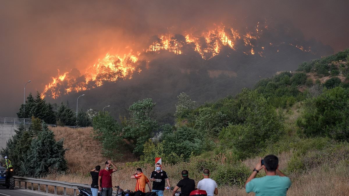 Turkey wildfires kill at least 10 and injure 14 others 'after wind suddenly changed' as infernos continue to burn across country