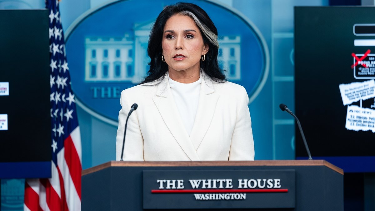 Tulsi Gabbard reveals whether there's 'evidence' Epstein had foreign or domestic intel ties