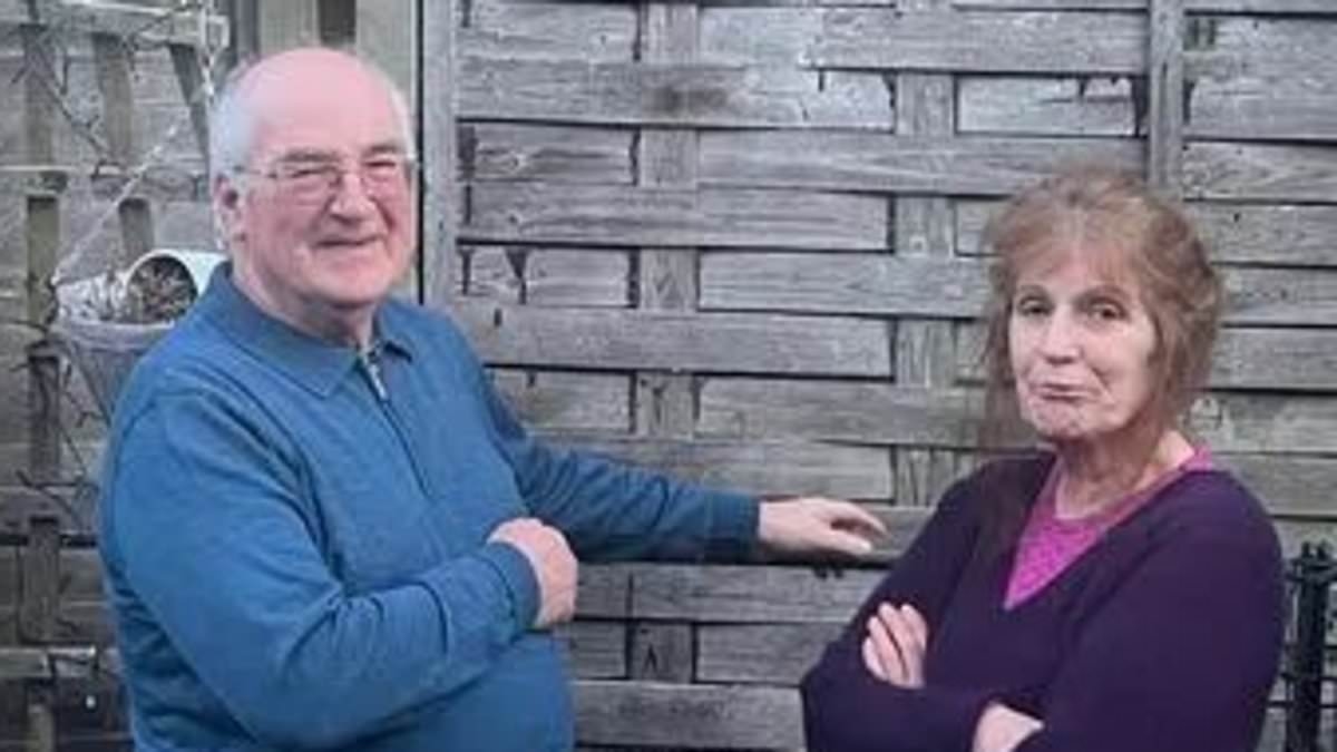 Couple celebrate victory after five-year row with neighbours over giant cypress tree that went to top of government and saw police called in