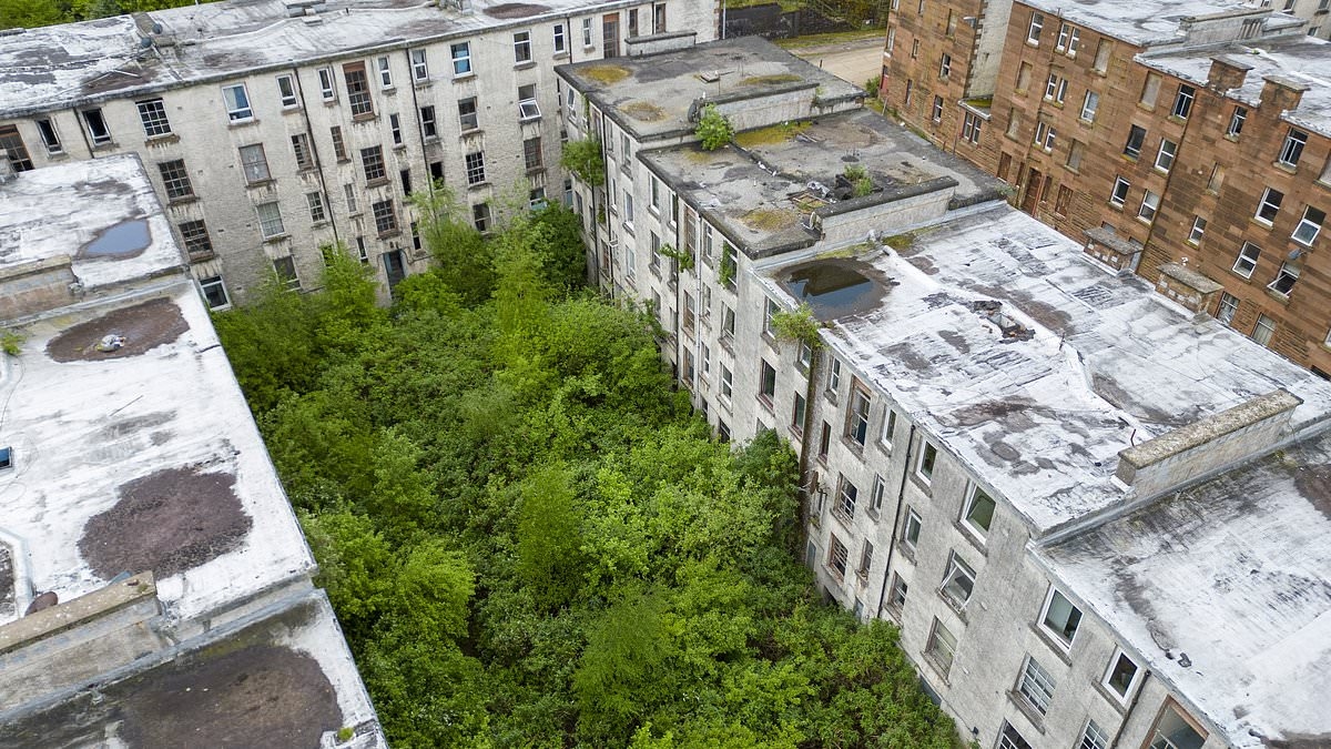 Inside the apocalyptic Scottish estate dubbed 'Britain's answer to Chernobyl' which is FINALLY being torn down after decades of decay despite five people still living there