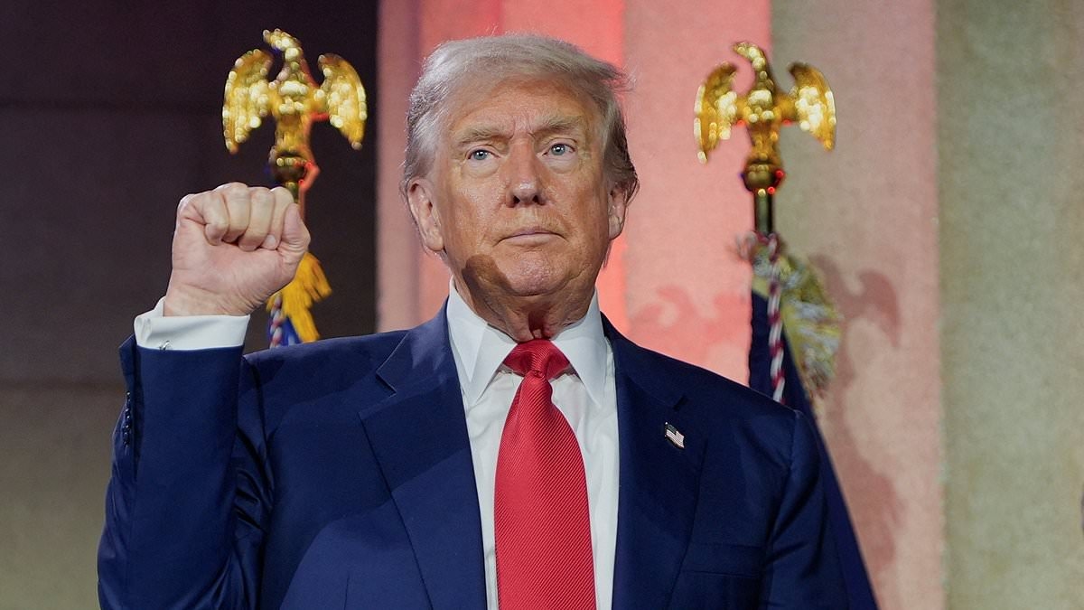 Trump fires back at reports he's trying to 'destroy' Elon Musk's companies after their falling out