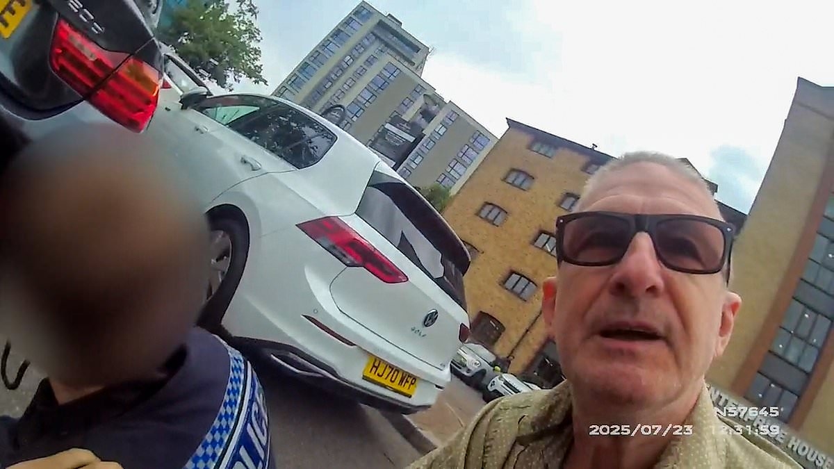 Moment actor who played PC Reg Hollis in The Bill turns real-life crimefighter to foil runaway thief before handing him over to real police