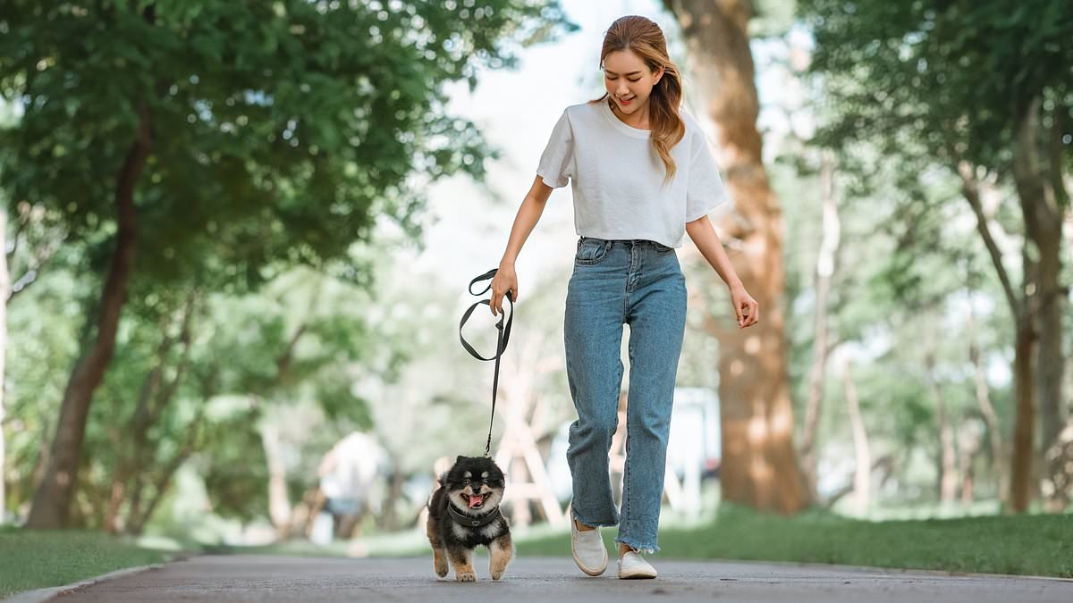 Scientists reveal the REAL number of daily steps you should aim for to prevent dementia
