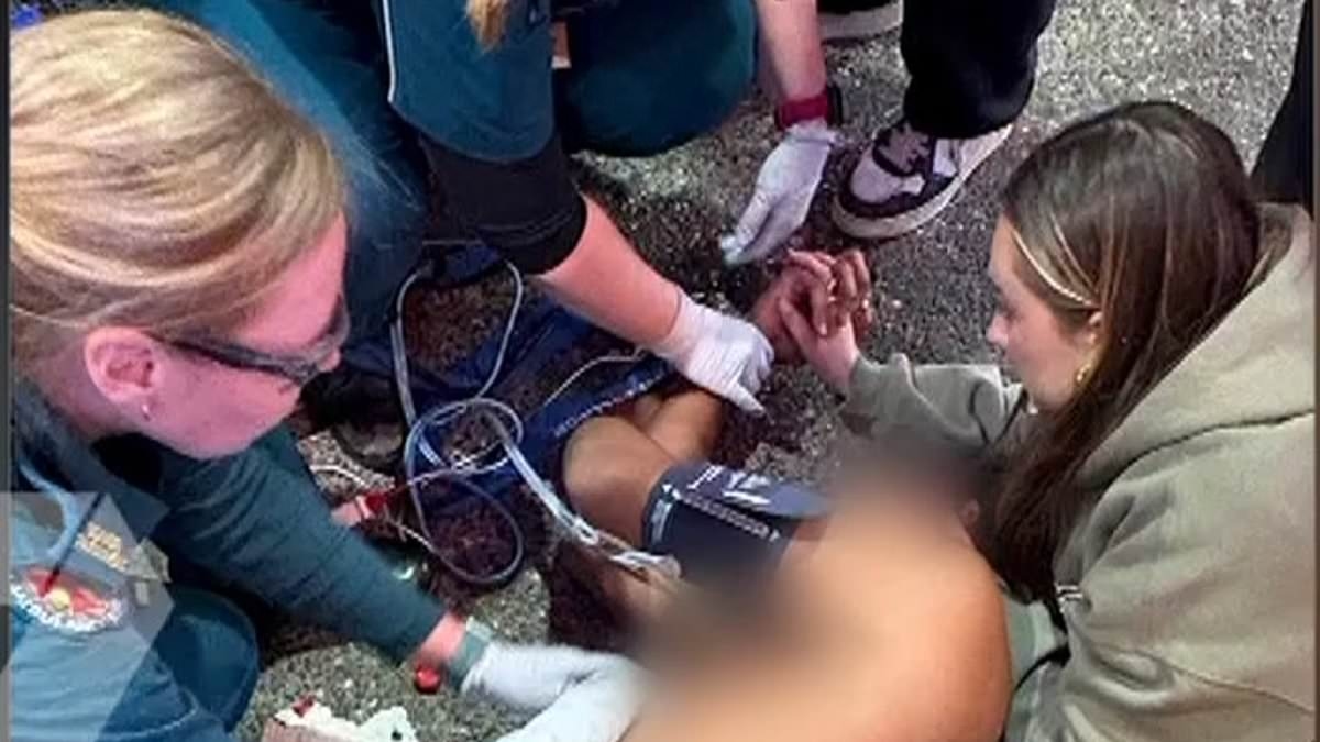 French tourist stabbed while trying to break up fight in Brisbane's party precinct