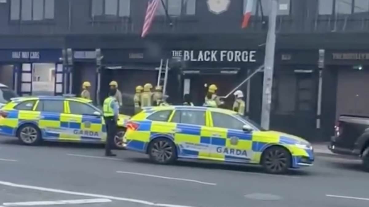 MMA fighter Conor McGregor speaks out after blaze tears through his £2million Dublin pub