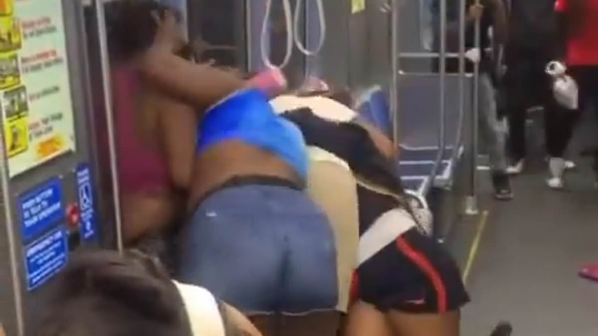 Huge catfight erupts along 'America's most dangerous subway line' in Chicago where even cops fear to tread