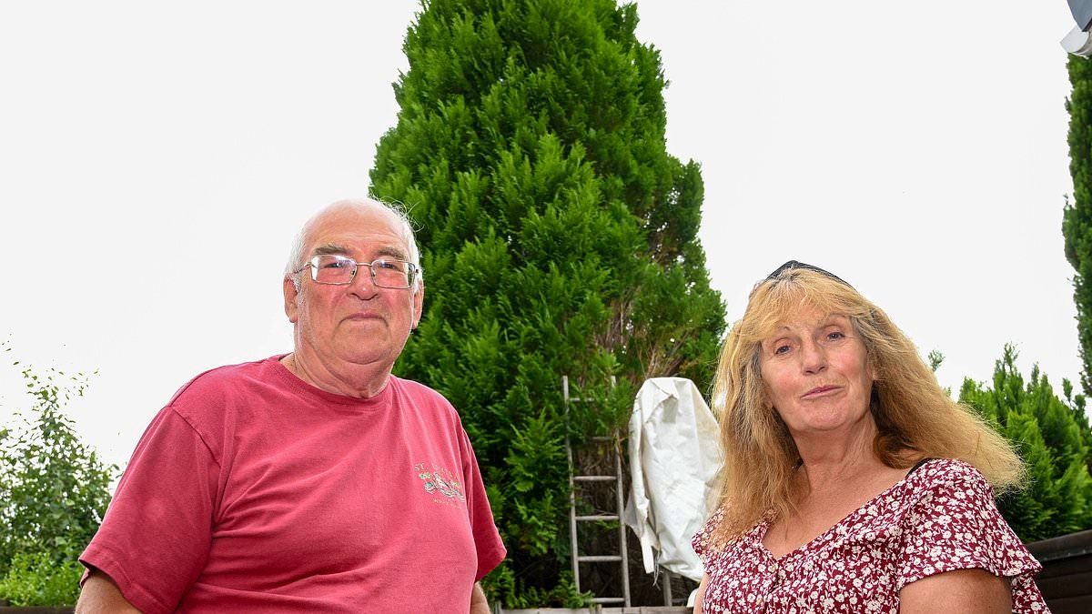 Couple finally win battle over neighbours' huge untrimmed hedge that left them suffering 'five years without sunshine'