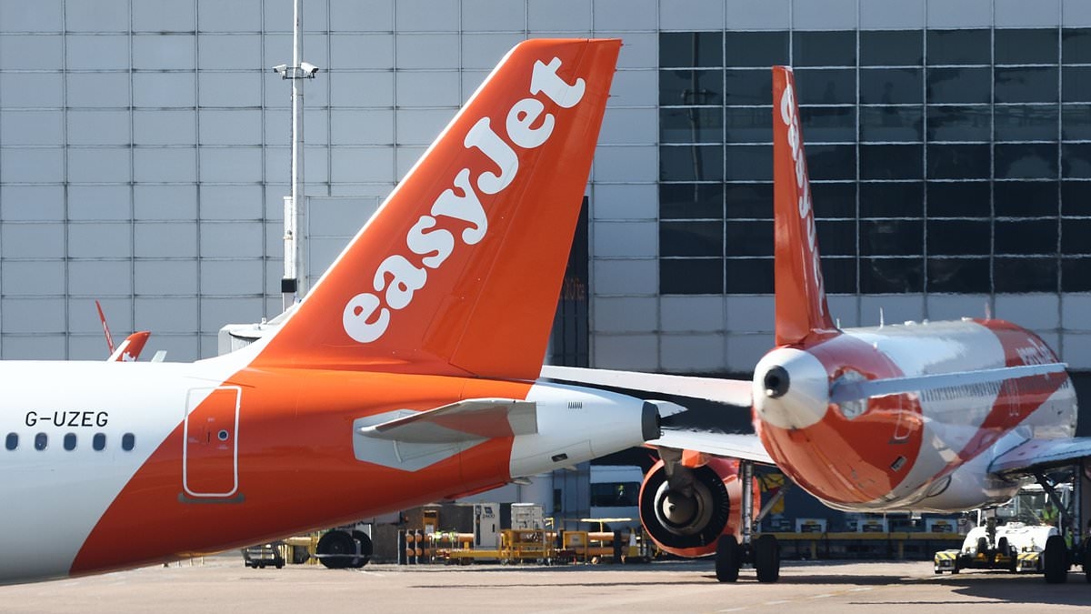 Flight attendant's bizarre 'air aerobics' class mid-flight leaves passengers stunned