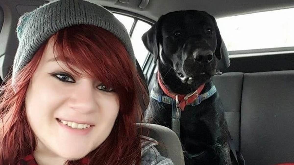 All's well that ends well! Jackson the labrador is saved from 18ft-deep hole by firefighters
