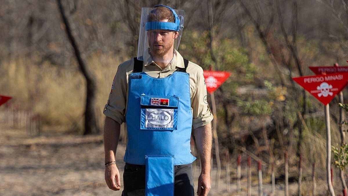 Prince Harry went off-grid and was uncontactable during secret three-day visit to Botswana