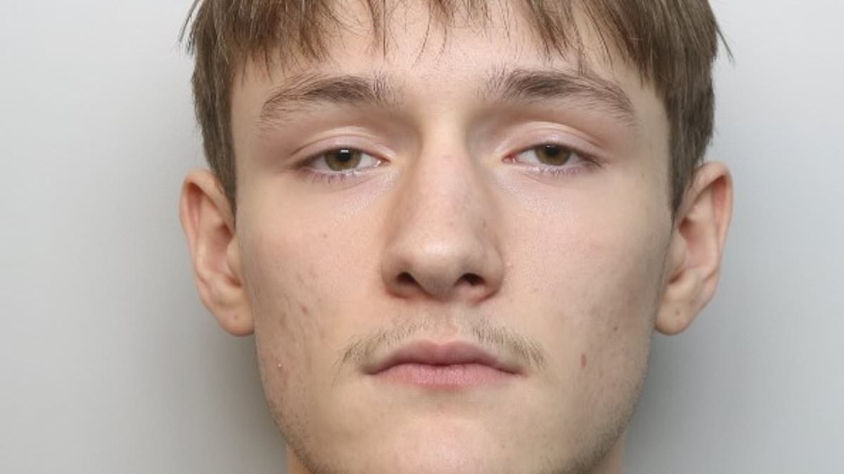 Moment balaclava-clad teen, 17, flees after stabbing man through the heart with a Rambo-style knife