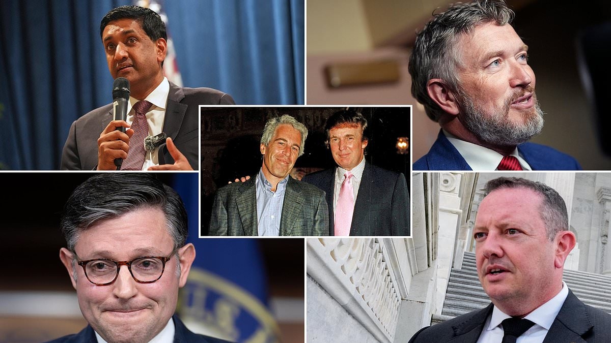Democrat frames Epstein files as winning issue while Republican admits White House 'misstep'