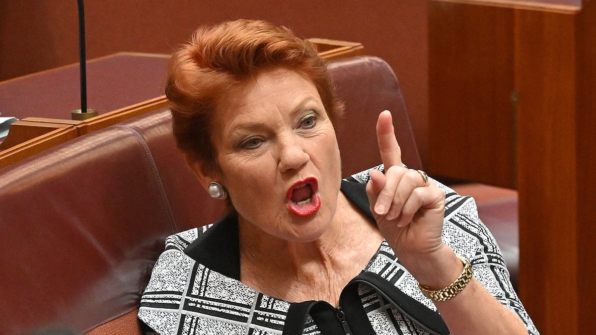 Pauline Hanson's urgent wake up call for Anthony Albanese: 'I will not stand by while Australia is driven into the ground'