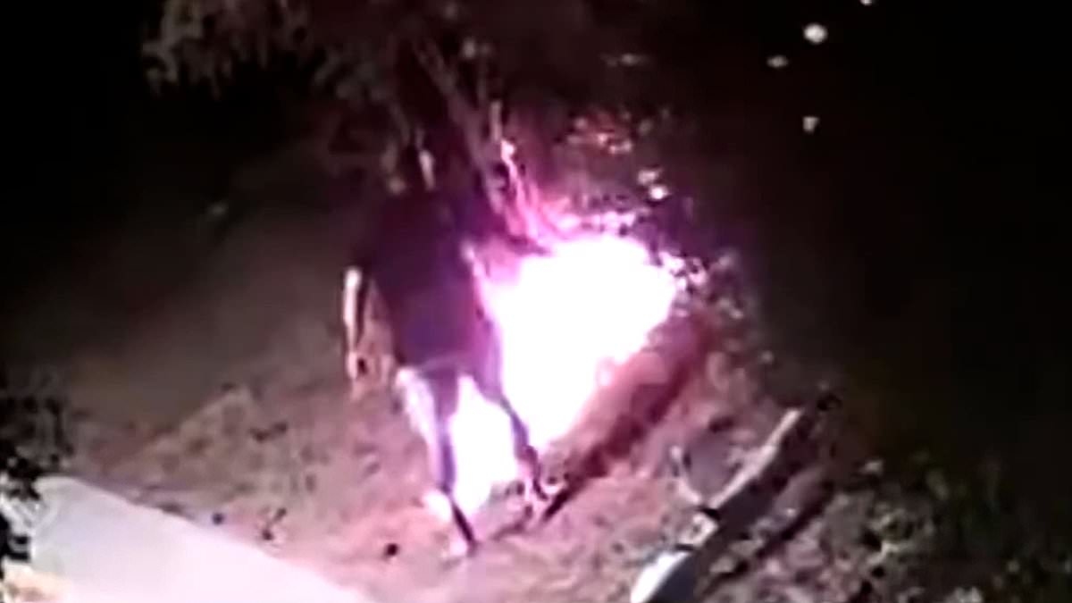 Suspected arsonist, 33, is charged with terrorism after being caught lighting fires in Bulgaria - as country battles 160 fires while infernos rage across Europe amid apocalyptic 50.5C heatwave
