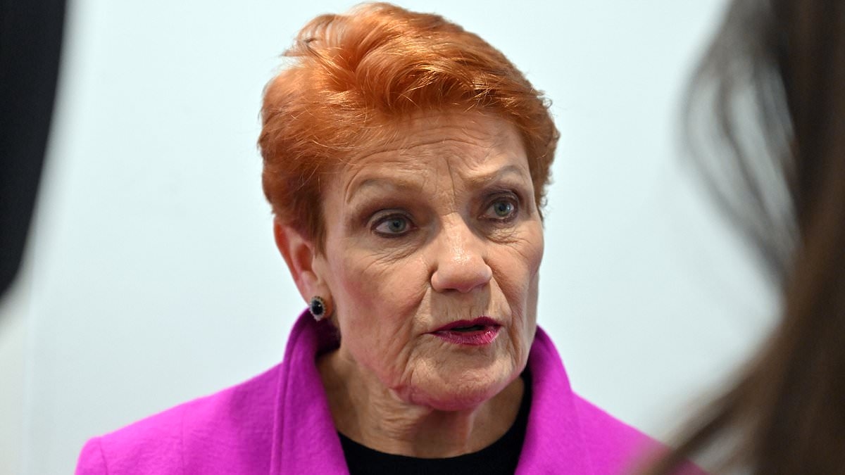 Australia's youngest senator, 21, launches a furious attack on Pauline Hanson: 'All I can say is, are you kidding?'