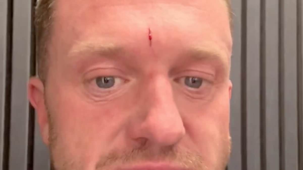 Tommy Robinson 'flees Britain after station attack': Police confirm 'suspect' boarded flight out of country after man was taken to hospital following 'assault' in St Pancras
