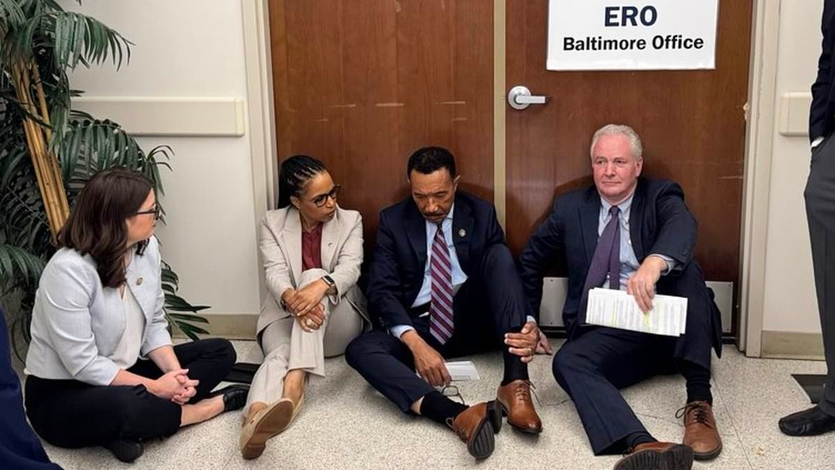 Democrats hit with ICE 'photo op' backlash after staging sit-in at Trump detention facility