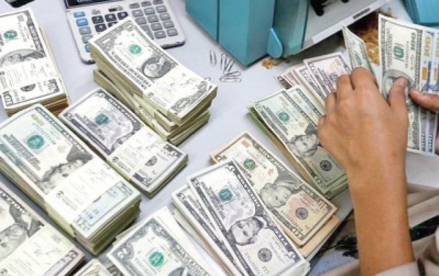 Foreign currency reserves hit $20b