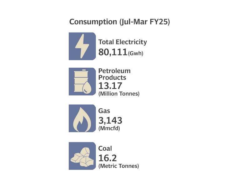 Power capacity rises to 46,605MW
