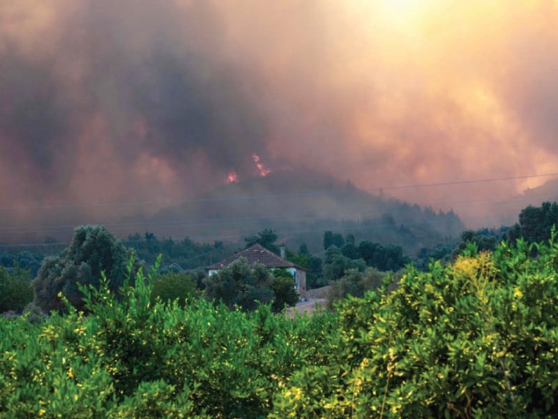 Rescuers evacuate 50,000 as Turkey battles wildfires