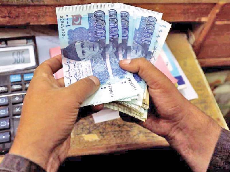 Govt borrowing crowds out private sector