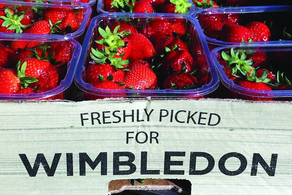Wimbledon's top strawberry faces juicy competition