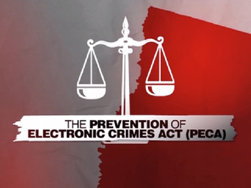 Senate  body passes PECA bill