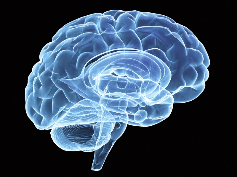 Brain-eating amoeba claims one more life